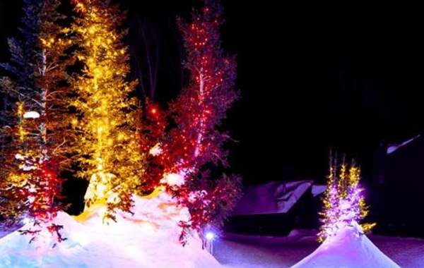 BH: Christmas in the Park