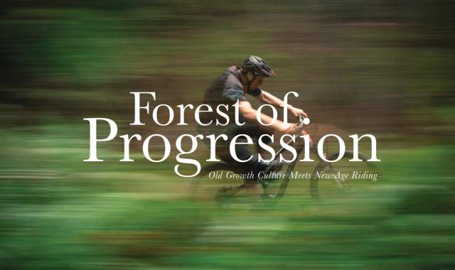 Forest of Progression