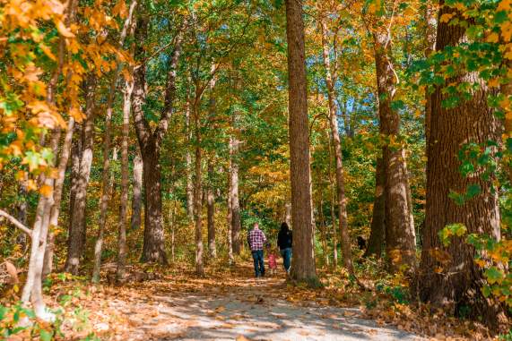 Cozy Weekend in Etown