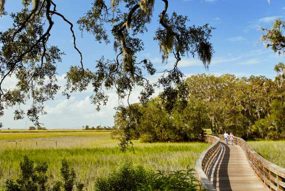 Golden Isles St Simons Island Jekyll Island