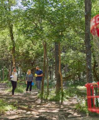 Friends playing Disc Golf