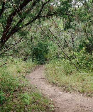 Cedar Mountain Nature Preserve