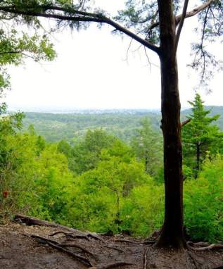 Cedar Ridge Nature Preserve