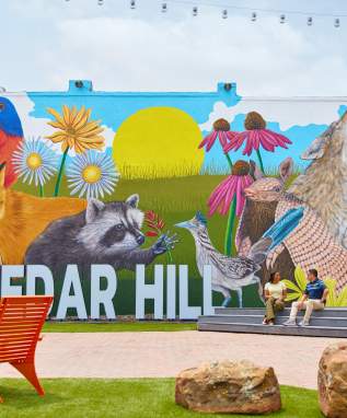 Murual Wide Shot