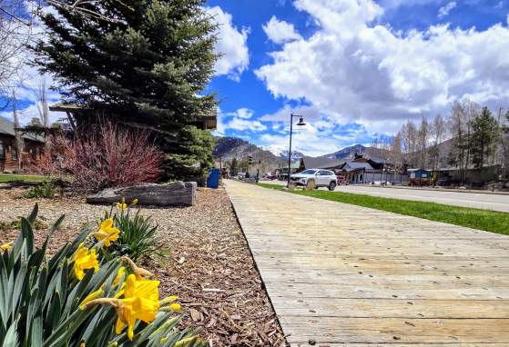 Spring on the boardwalk