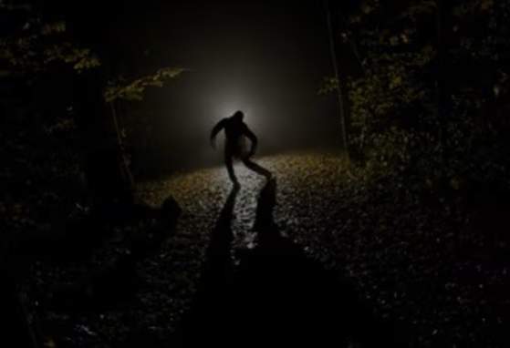 Nightmare on Pacific Avenue
