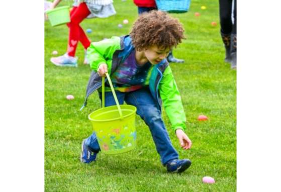 Spring Egg Hunt