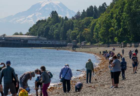 Explore the Shore: Discover the World of Low Tide