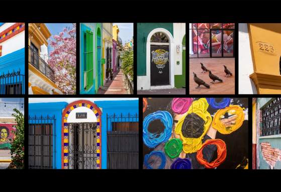 Mexican Artists Exhibition