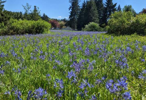 Morse Wildlife Preserve Open to the Public