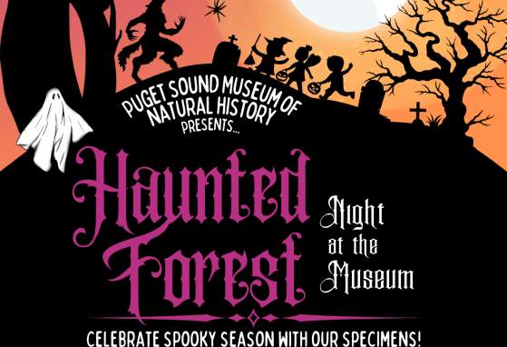 Night at the Museum: Haunted Forest