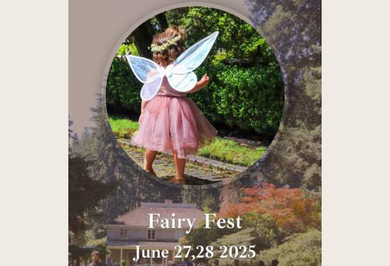 Fairy Fest
