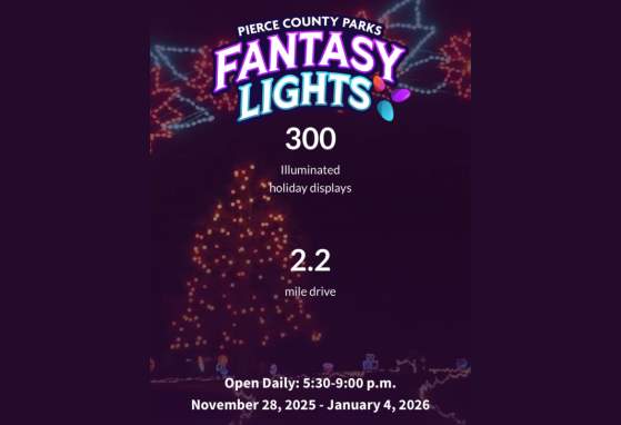 Fantasy Lights 2025