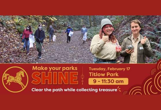 Make Your Parks Shine - Litter Clean Up