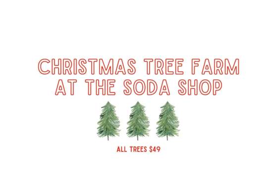 Christmas Tree Farm at the Soda Shop 2025