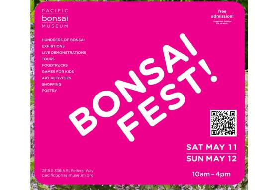 BonsaiFest!