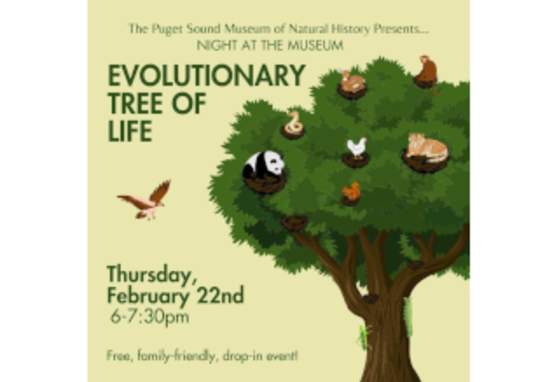 Night at the Museum: Evolutionary Tree of Life!