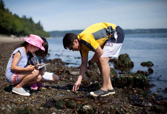 Explore the Shore with Point Defiance Aquarium