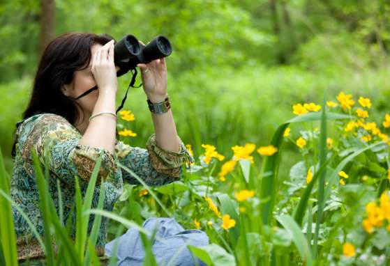 Guided Beginning Birders Walk