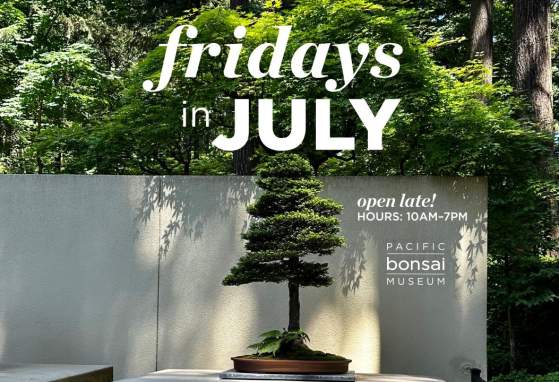 Fridays in July: Open Late at Pacific Bonsai Museum