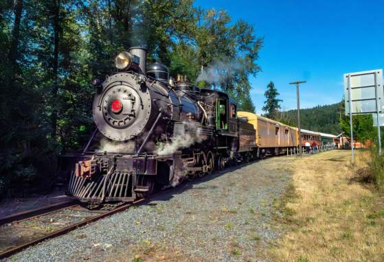 Mt. Rainier Scenic Railroad Steam Train Excursions