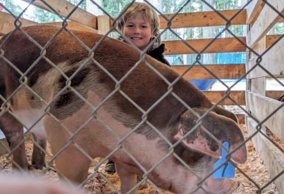 Pierce County Fair