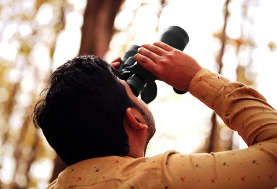 Point Defiance Bird Walk