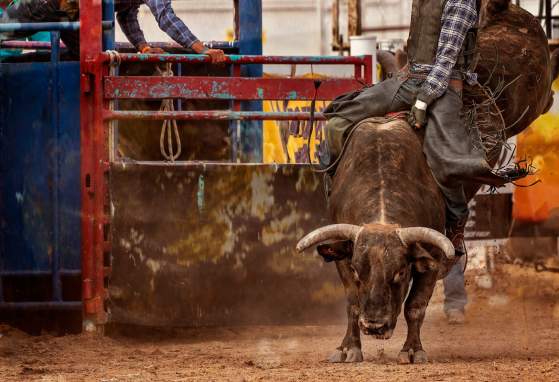 Puyallup Rodeo at Washington State Fair
