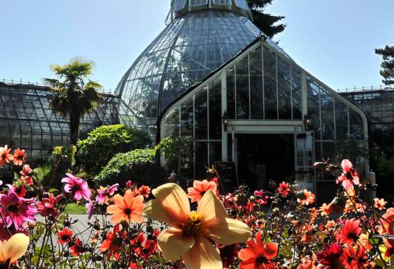 Summer Flower Exhibit: Lounging by the Sea