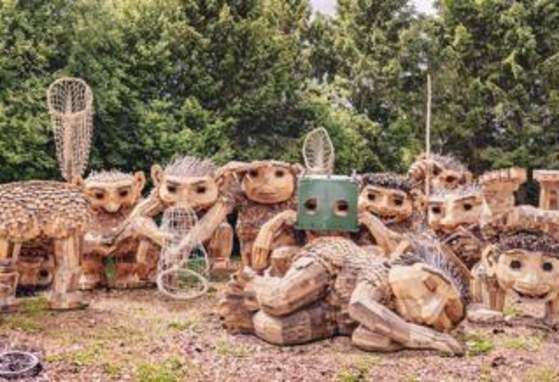 Trolls: A Field Study at Northwest Trek