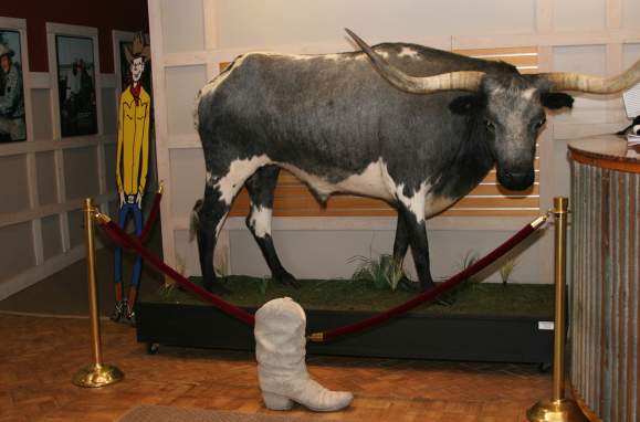 Mann Wildlife Learning Museum