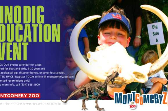 Dino Dig at Montgomery Zoo