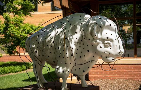 Where to find the Painted Bison Statues in Fargo