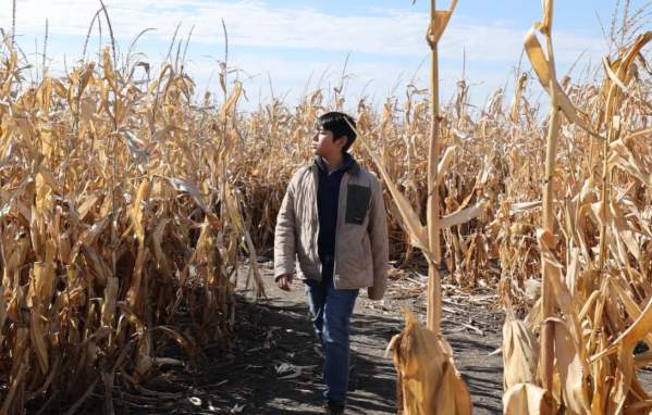 Halloween Events in Fargo