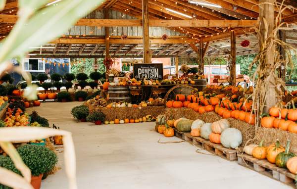 Fall Festival at Heritage Valley Farm & Pumpkin Patch