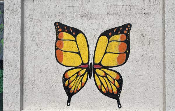 Butterfly Wings Mural