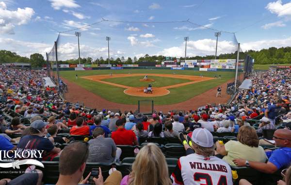 Zoom Background- Hickory Crawdads