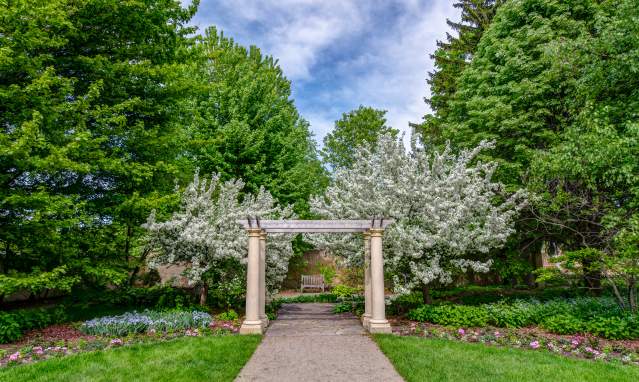 Paine Garden Pergola