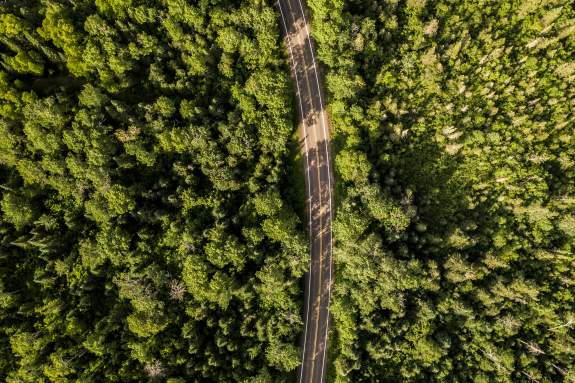 How Far Is Cook County? A Road Trip Guide to Minnesota's Best Kept Secrets