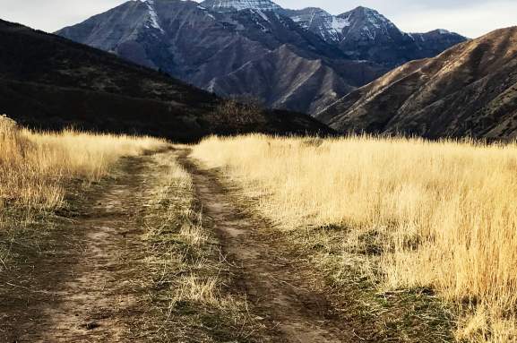 The Ultimate Guide to 50 Best Hikes in Utah Valley