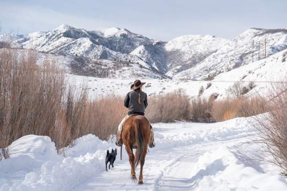 Winter Horseback Riding