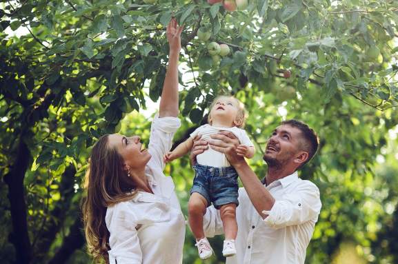 Apple Picking rowleys