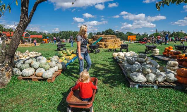 How To Spend Fall In Elizabethtown