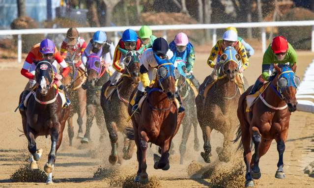 A Local’s Guide to Derby Week: Dining & Shopping in Elizabethtown