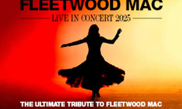 Fleetwood Mac RUMOURS レコード Fleetwood Mac - Rumours: 2025 Edition (Vinyl LP