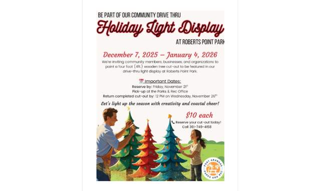 Holiday Light Display