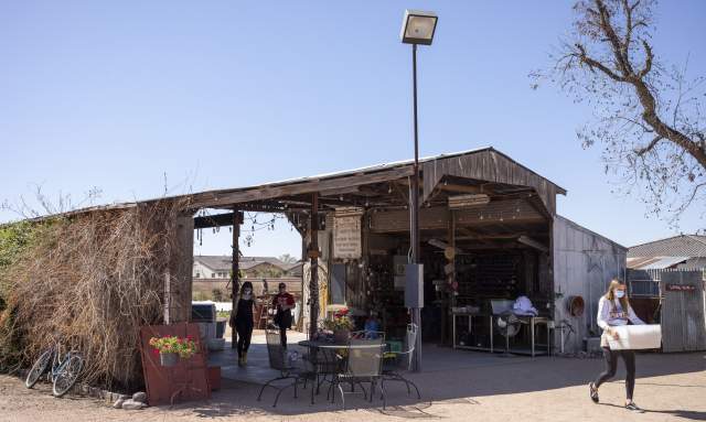 Chandler Local Spotlight: Greenhouse Gardens