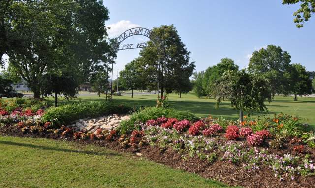 Historically Black Colleges and Universities in Huntsville, AL