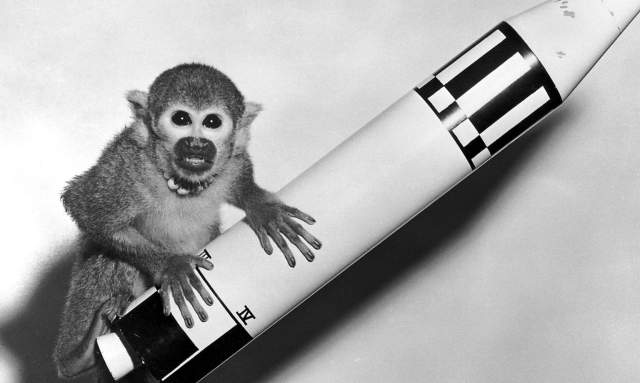 Miss Baker: Huntsville's Monkeynaut