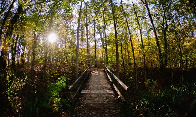 Scenic Parks in Madison County to Explore This Fall